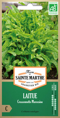 Pluksla 'Cressonnette marocaine'