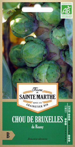 Spruitkool 'de Rosny'