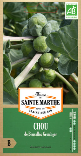 Spruitkool 'Groninger'