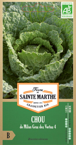 Savooiekool 'Gros des virtues IV'