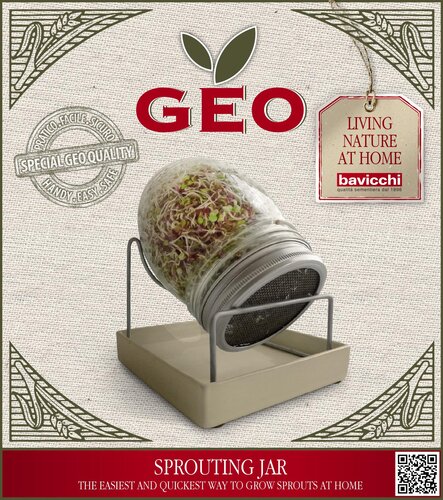 Geo Sprouting Jar