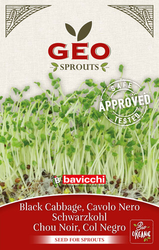 GEO Sprouts Black Curly Kale (BIO) 12 g GEO Sprouts Black Curly Kale (BIO) 12 g