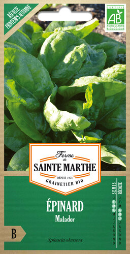Spinazie 'Matador
