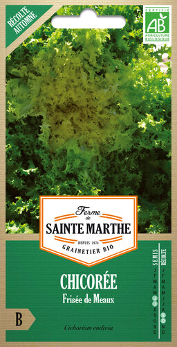 Andijvie krul Frisée de Meaux' Andijvie krul Frisée de Meaux'