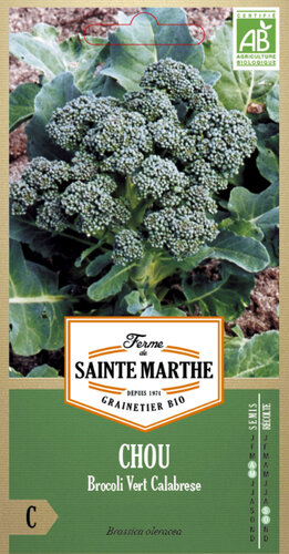 Broccoli 'Groene Calabrese' Broccoli 'Groene Calabrese'