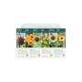 Buzzy® Collection 6 Stralende zonnebloemen
