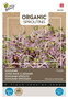 Buzzy® Organic Sprouting Koolrabi blauwpaars (BIO)