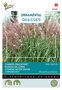Buzzy® Ornamental Grasses Chinees prachtriet 'New Hybrids'