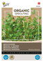 Buzzy® Organic Sprouting Broccolikers (BIO)