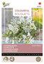 Buzzy® Colourful Bouquets, Sweet White
