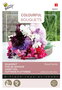 Buzzy® Colourful Bouquets, Royal Family (lathyrus)