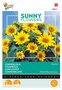 Buzzy® Sunny Flowers, Zonnebloem Pacino