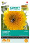 Buzzy® Sunny Flowers, lage Zonnebloem Sungold dubbelbloemig