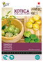 Buzzy® Xotica Tomatillo, Mexicaanse aardkers