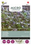 Buzzy® Microgreens, Mosterd Red Frills