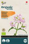 Buzzy® Organic Saponaria, Koekruid Pink Beauty (BIO)
