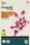 Buzzy® Organic Lathyrus, Reuk- of siererwt Painted Lady(BIO)